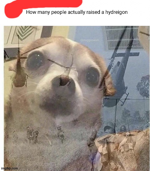 Hydreigon was a pain in the hecking ass to train only to have it one hit KO-ed (fixed) | made w/ Imgflip meme maker
