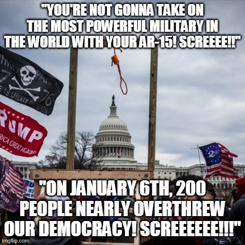 Same people, same lunacy. | "YOU'RE NOT GONNA TAKE ON THE MOST POWERFUL MILITARY IN THE WORLD WITH YOUR AR-15! SCREEEE!!"; "ON JANUARY 6TH, 200 PEOPLE NEARLY OVERTHREW OUR DEMOCRACY! SCREEEEEE!!!" | image tagged in january,democracy,ar-15 | made w/ Imgflip meme maker