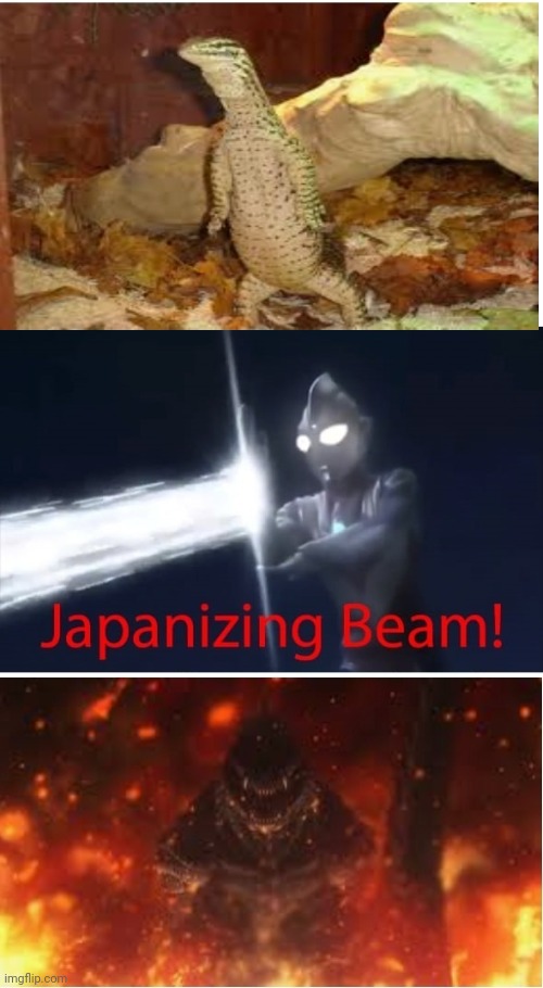 Japanizing Beam! | image tagged in japanizing beam | made w/ Imgflip meme maker