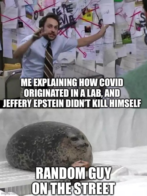 It’s true, all of it | ME EXPLAINING HOW COVID ORIGINATED IN A LAB, AND JEFFERY EPSTEIN DIDN’T KILL HIMSELF; RANDOM GUY ON THE STREET | image tagged in man explaining to seal | made w/ Imgflip meme maker