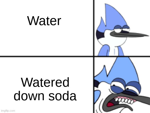 Disgusted Mordecai | Water; Watered down soda | image tagged in disgusted mordecai | made w/ Imgflip meme maker