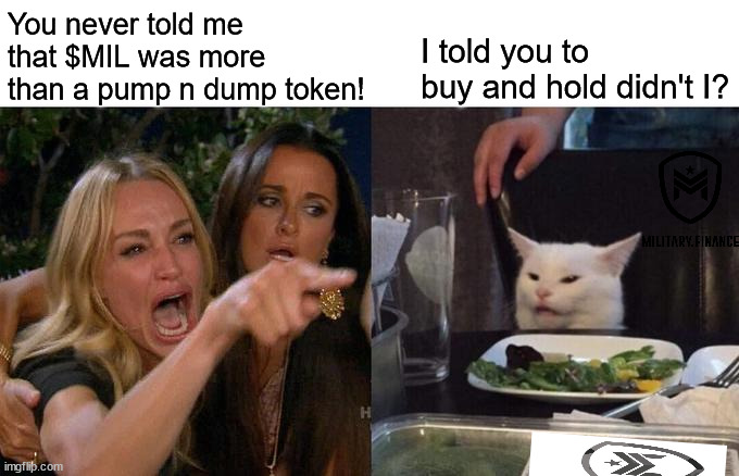 Wise Cat | You never told me that $MIL was more than a pump n dump token! I told you to buy and hold didn't I? | image tagged in memes,woman yelling at cat | made w/ Imgflip meme maker