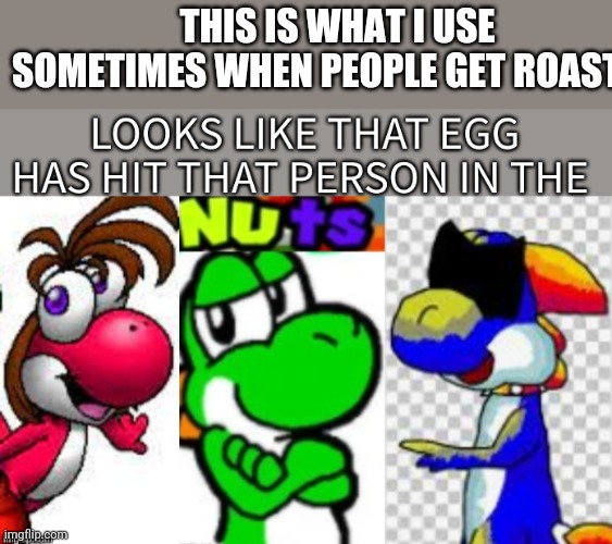 Looks Like That Egg Has Hit That Person In The Nuts | THIS IS WHAT I USE SOMETIMES WHEN PEOPLE GET ROASTED | image tagged in looks like that egg has hit that person in the nuts | made w/ Imgflip meme maker