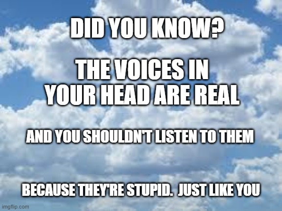 voices | DID YOU KNOW? THE VOICES IN YOUR HEAD ARE REAL; AND YOU SHOULDN'T LISTEN TO THEM; BECAUSE THEY'RE STUPID.  JUST LIKE YOU | image tagged in clouds | made w/ Imgflip meme maker