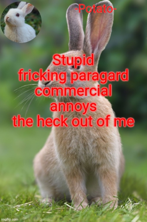 Shrek | Stupid fricking paragard commercial annoys the heck out of me | image tagged in -potato- rabbit announcement | made w/ Imgflip meme maker