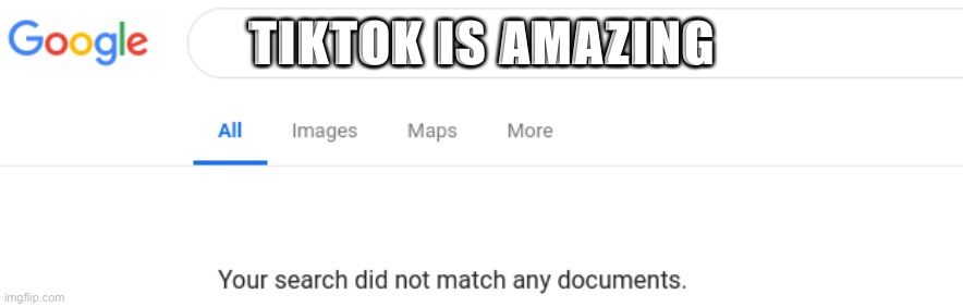 No results! YES | TIKTOK IS AMAZING | image tagged in google no results | made w/ Imgflip meme maker