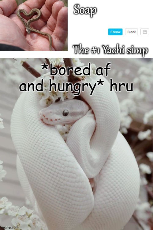*bored af and hungry* hru | image tagged in soap snake temp ty yachi | made w/ Imgflip meme maker
