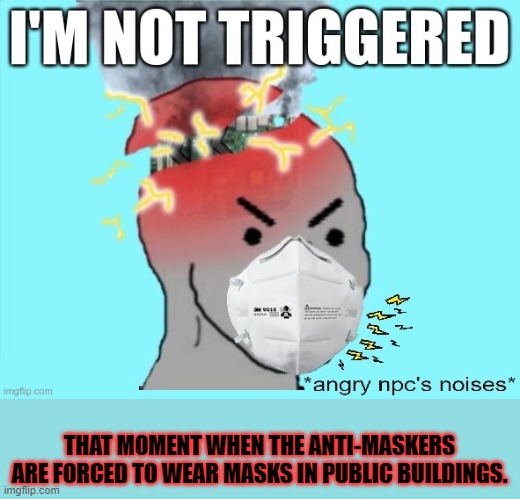 Credibility goes to Wisecracker for his creativity. | THAT MOMENT WHEN THE ANTI-MASKERS ARE FORCED TO WEAR MASKS IN PUBLIC BUILDINGS. | image tagged in npc,right-wing,mask,triggered | made w/ Imgflip meme maker