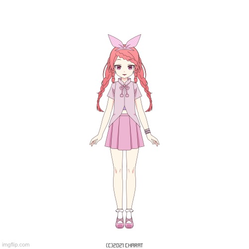 Styled in braids | made w/ Imgflip meme maker