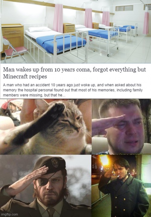 Top image was stolen from Reddit | image tagged in ozon's salute | made w/ Imgflip meme maker