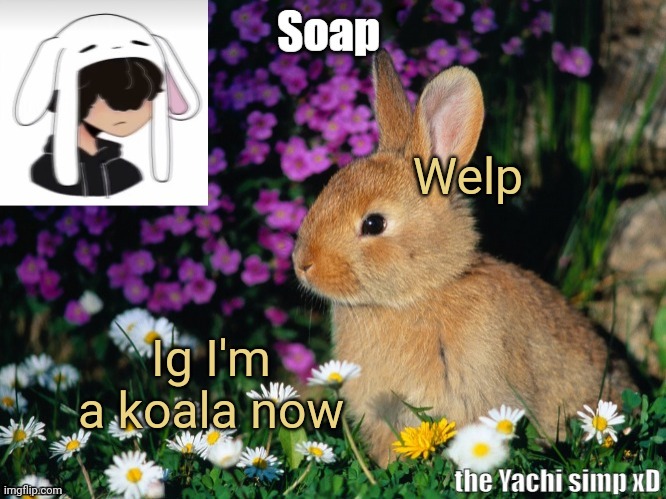 Welp; Ig I'm a koala now | image tagged in soap bunny temp ty yachi 3 | made w/ Imgflip meme maker