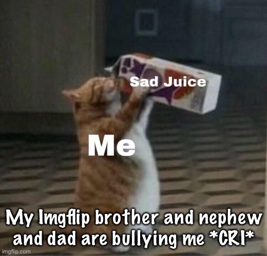 I am sad template | My Imgflip brother and nephew and dad are bullying me *CRI* | image tagged in i am sad template | made w/ Imgflip meme maker