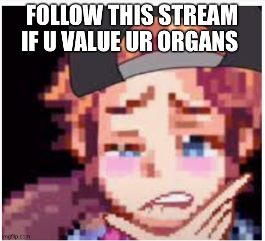 FOLLOW THIS STREAM IF U VALUE UR ORGANS | made w/ Imgflip meme maker