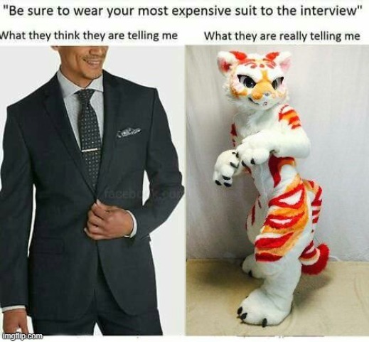 found this on google | image tagged in furry,memes,rich | made w/ Imgflip meme maker