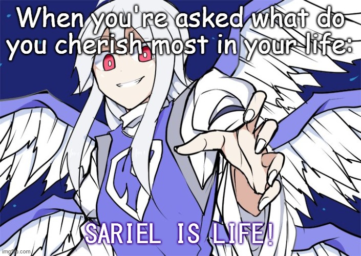 Sariel is Life | When you're asked what do you cherish most in your life:; SARIEL IS LIFE! | image tagged in sariel is life,touhou,angel,shitpost,meme life,animeme | made w/ Imgflip meme maker
