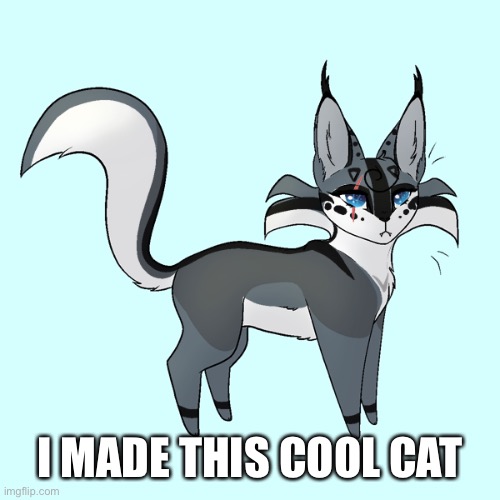 I MADE THIS COOL CAT | made w/ Imgflip meme maker