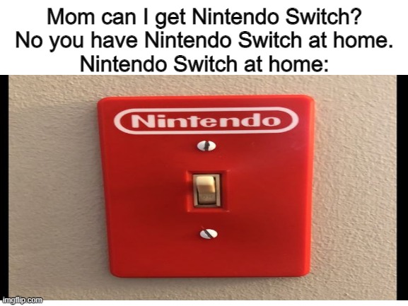 nintendo switch | Mom can I get Nintendo Switch?
No you have Nintendo Switch at home.
Nintendo Switch at home: | image tagged in wehavethatathome,nintendo switch | made w/ Imgflip meme maker