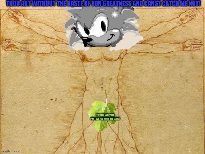 FiNe aRT | THOU ART WITHOUT THE HASTE OF YON GREATNESS AND CANST CATCH ME NOT! THIS FIG LEAF WILL PROTECT YOU FROM THE LEWD! | image tagged in sonic the hedgehog,art,but why why would you do that,educational | made w/ Imgflip meme maker