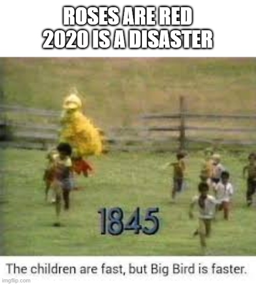 Big Bird is faster | ROSES ARE RED
2020 IS A DISASTER | image tagged in big bird is faster | made w/ Imgflip meme maker
