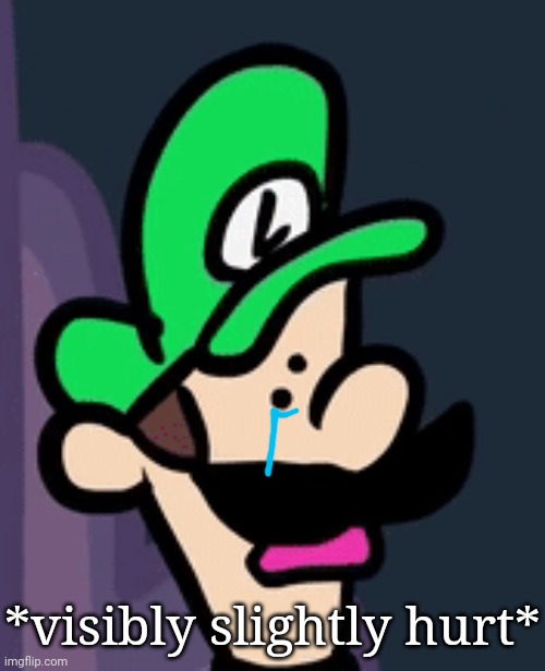 *visibly slightly hurt* | made w/ Imgflip meme maker