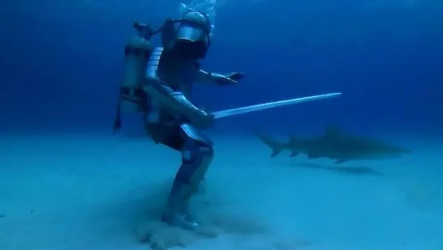 Scuba Diver VS shark Blank Meme Template
