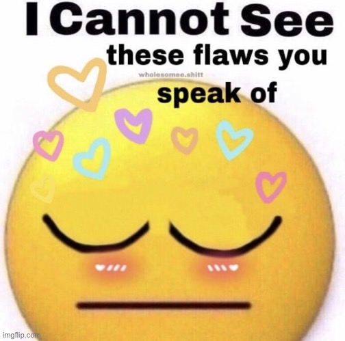 I cannot see these flaws you speak of | image tagged in i cannot see these flaws you speak of | made w/ Imgflip meme maker