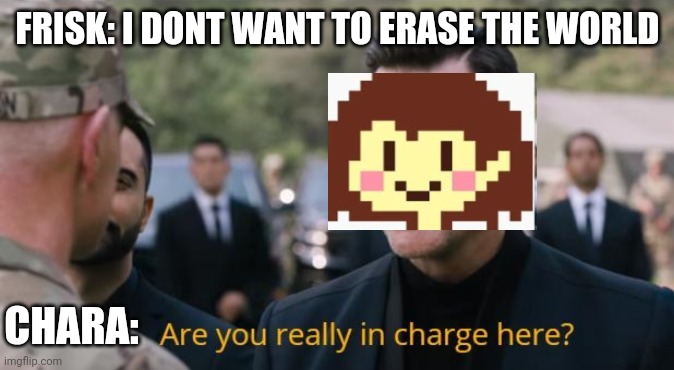 Are you really in charge here? | FRISK: I DONT WANT TO ERASE THE WORLD; CHARA: | image tagged in are you really in charge here | made w/ Imgflip meme maker
