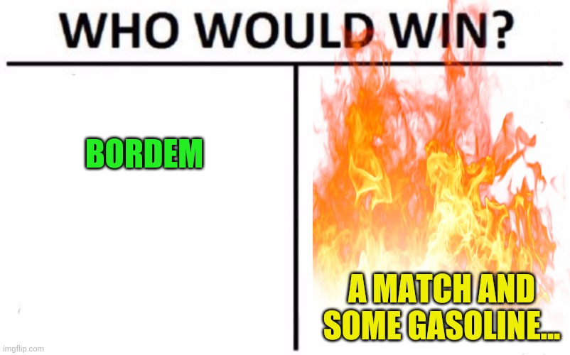 Who Would Win? Meme | BORDEM A MATCH AND SOME GASOLINE... | image tagged in memes,who would win | made w/ Imgflip meme maker