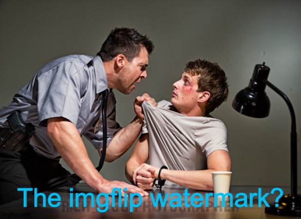 Interrogation | The imgflip watermark? | image tagged in interrogation | made w/ Imgflip meme maker