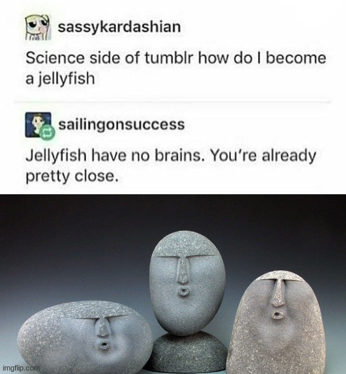 wowza | image tagged in insult,oof stones,roasted | made w/ Imgflip meme maker