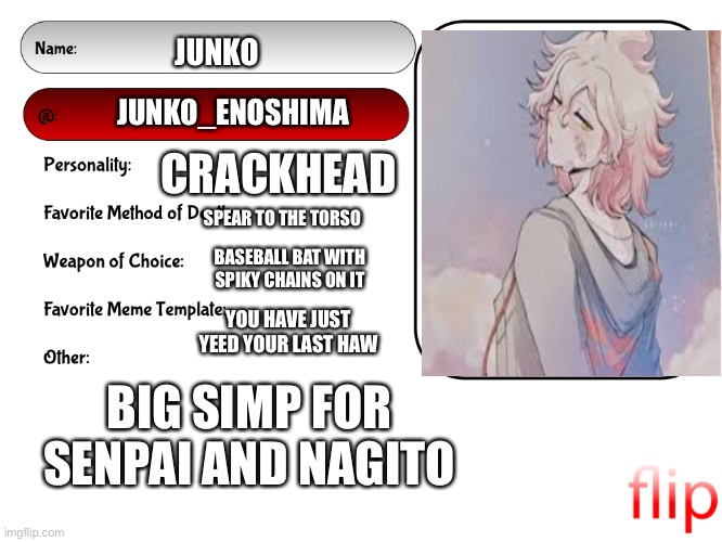 Unoffical msmg user card | JUNKO; JUNKO_ENOSHIMA; CRACKHEAD; SPEAR TO THE TORSO; BASEBALL BAT WITH SPIKY CHAINS ON IT; YOU HAVE JUST YEED YOUR LAST HAW; BIG SIMP FOR SENPAI AND NAGITO | image tagged in unofficial msmg user card | made w/ Imgflip meme maker