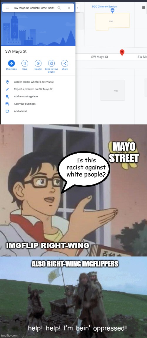 "That's raaayyyccciiiissssst!" | MAYO STREET; Is this racist against white people? IMGFLIP RIGHT-WING; ALSO RIGHT-WING IMGFLIPPERS | image tagged in memes,is this a pigeon,white racism,mayo,not racism,get a grip | made w/ Imgflip meme maker