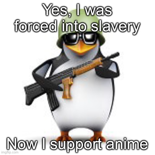 This Anti-Anime penguin has something to say about the AAA | Yes, I was forced into slavery; Now I support anime | image tagged in no anime penguin,aaa,penguin | made w/ Imgflip meme maker