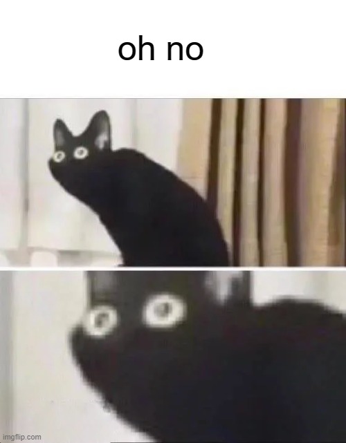 Oh No Black Cat | oh no | image tagged in oh no black cat | made w/ Imgflip meme maker