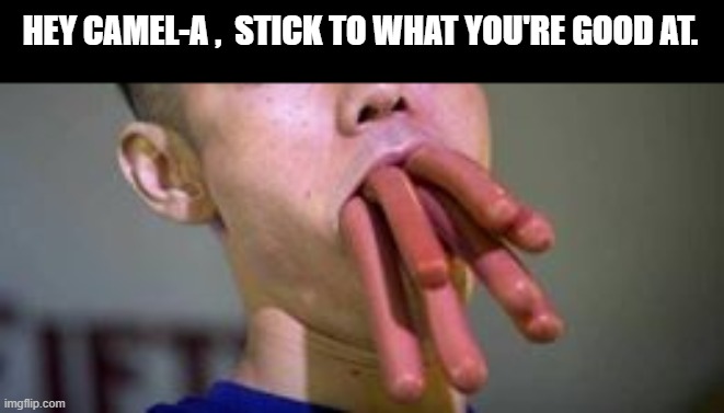 HEY CAMEL-A ,  STICK TO WHAT YOU'RE GOOD AT. | made w/ Imgflip meme maker