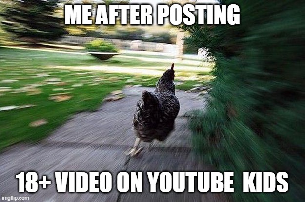 Chicken Running | ME AFTER POSTING; 18+ VIDEO ON YOUTUBE  KIDS | image tagged in chicken running | made w/ Imgflip meme maker