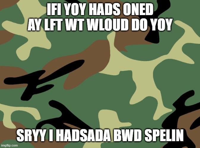 sry fo bed spelling |  IFI YOY HADS ONED AY LFT WT WLOUD DO YOY; SRYY I HADSADA BWD SPELIN | image tagged in camo,stroke,funny memes,questions,reddit | made w/ Imgflip meme maker