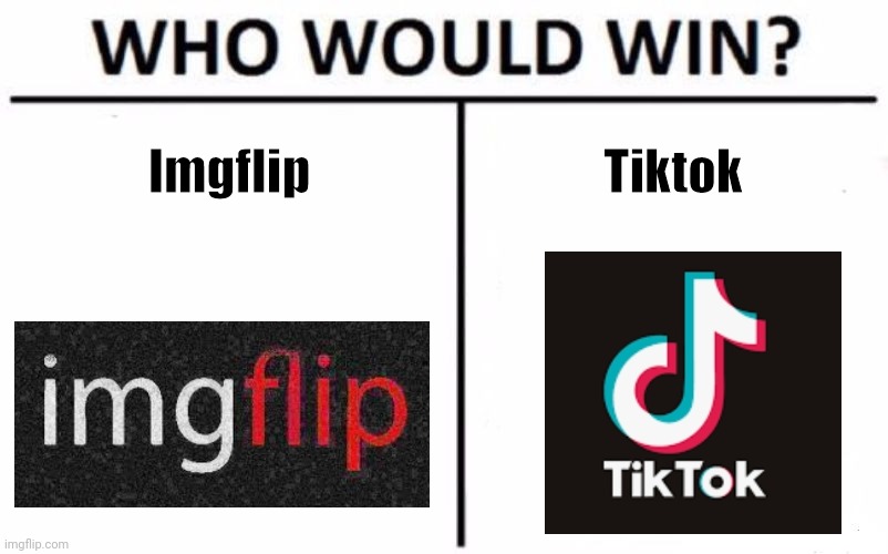 Im pritty sure imgflip would win | Imgflip; Tiktok | image tagged in memes,who would win | made w/ Imgflip meme maker