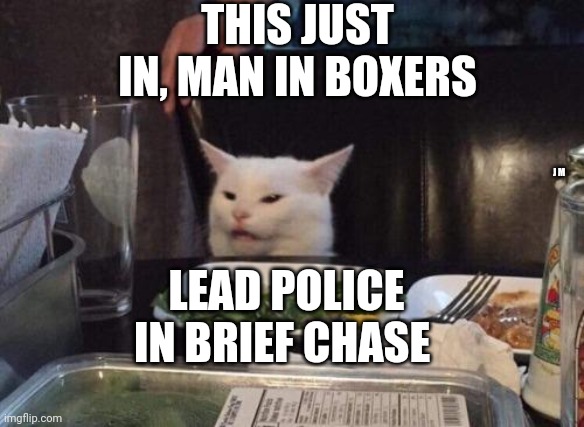 Salad cat | THIS JUST IN, MAN IN BOXERS; J M; LEAD POLICE IN BRIEF CHASE | image tagged in salad cat | made w/ Imgflip meme maker