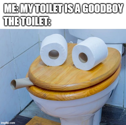 LOL!!! |  ME: MY TOILET IS A GOODBOY; THE TOILET: | image tagged in blank white template,toilet | made w/ Imgflip meme maker
