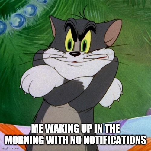 angry tom | ME WAKING UP IN THE MORNING WITH NO NOTIFICATIONS | image tagged in angry tom | made w/ Imgflip meme maker