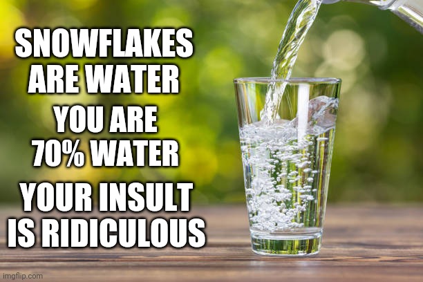 Snowflakes are water | SNOWFLAKES ARE WATER; YOU ARE 70% WATER; YOUR INSULT IS RIDICULOUS | image tagged in snowflake | made w/ Imgflip meme maker