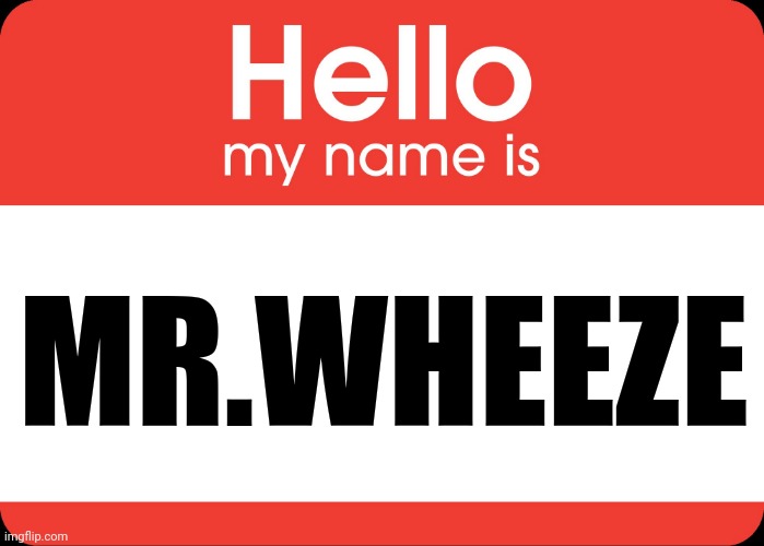 Hello My Name Is | MR.WHEEZE | image tagged in hello my name is | made w/ Imgflip meme maker