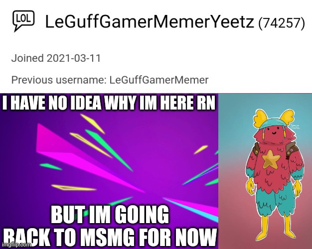 Eeeeeeeee |  I HAVE NO IDEA WHY IM HERE RN; BUT IM GOING BACK TO MSMG FOR NOW | image tagged in leguffgamermemeryeetz announcement template | made w/ Imgflip meme maker