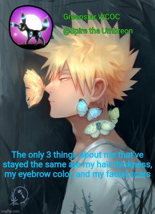 Spire Bakugou announcement temp | The only 3 things about me that've stayed the same are my hair thickness, my eyebrow color, and my facial scars | image tagged in spire bakugou announcement temp | made w/ Imgflip meme maker