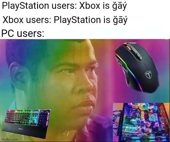 PlayStation users: Xbox is ğāý; Xbox users: PlayStation is ğāý; PC users: | image tagged in pc gaming,console wars,i dunno man seems kinda gay to me | made w/ Imgflip meme maker