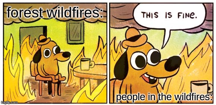 good doggie | forest wildfires:; people in the wildfires: | image tagged in memes,this is fine | made w/ Imgflip meme maker