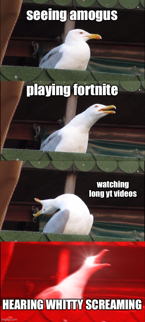 the times when i react | seeing amogus; playing fortnite; watching long yt videos; HEARING WHITTY SCREAMING | image tagged in memes,inhaling seagull,funny,oh wow are you actually reading these tags,seagulls,amogus | made w/ Imgflip meme maker