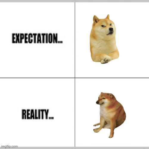 Expectation vs Reality | image tagged in expectation vs reality | made w/ Imgflip meme maker