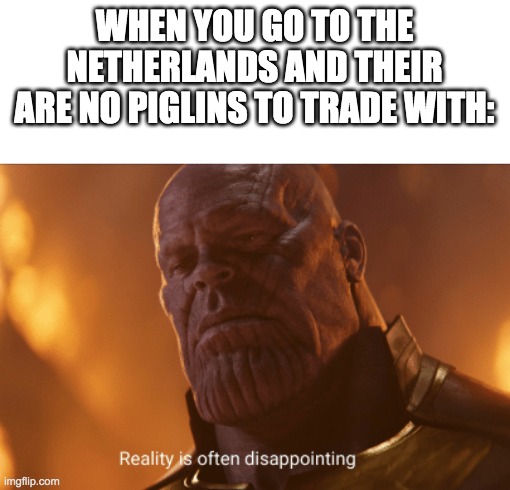 B R U H | WHEN YOU GO TO THE NETHERLANDS AND THEIR ARE NO PIGLINS TO TRADE WITH: | image tagged in reality is often dissapointing | made w/ Imgflip meme maker